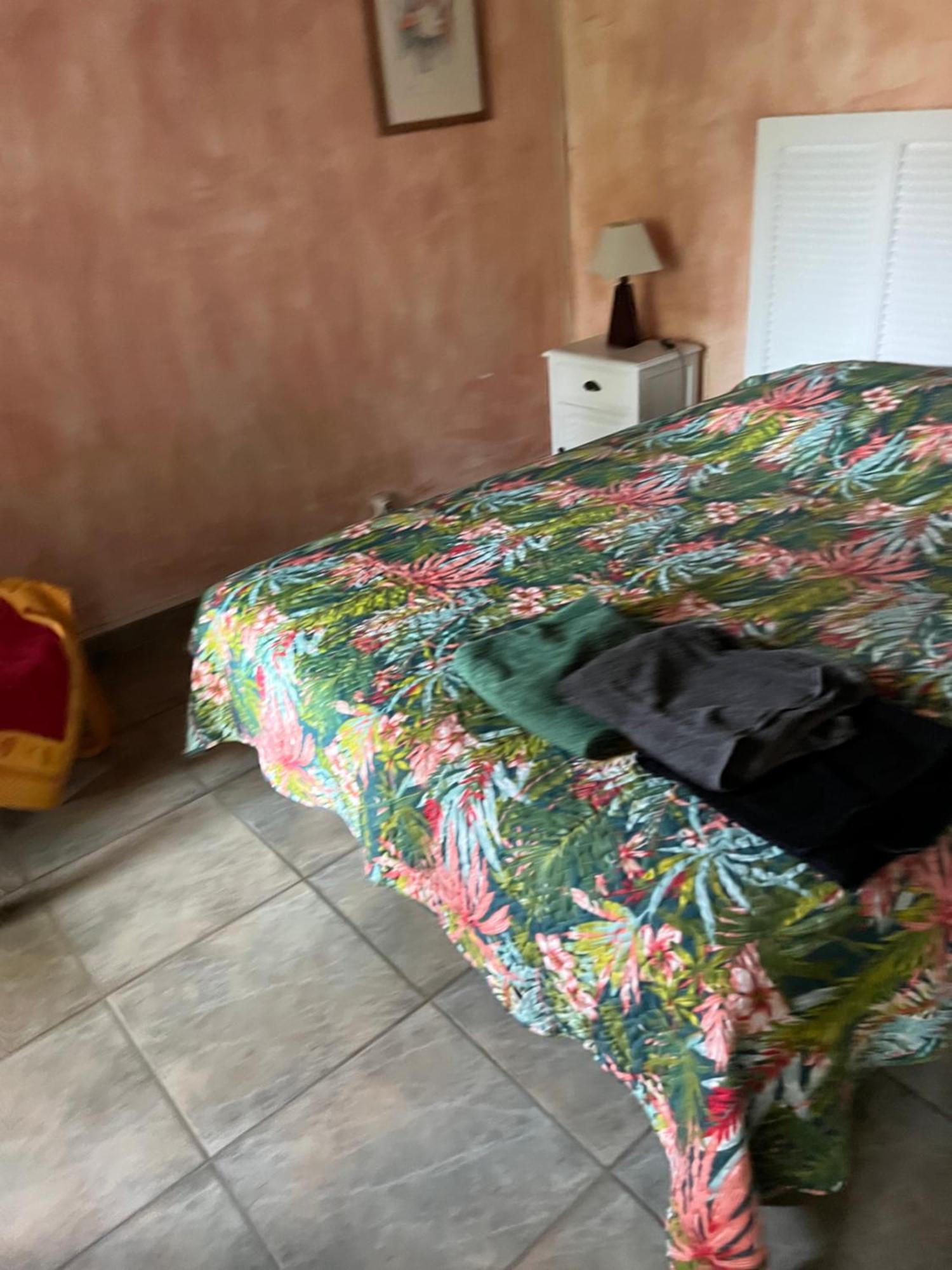 La Maison Sur La Place Aigues-Mortes Luaran gambar